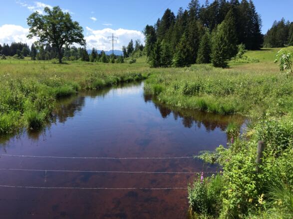 Kirchseebach bei Babenberg