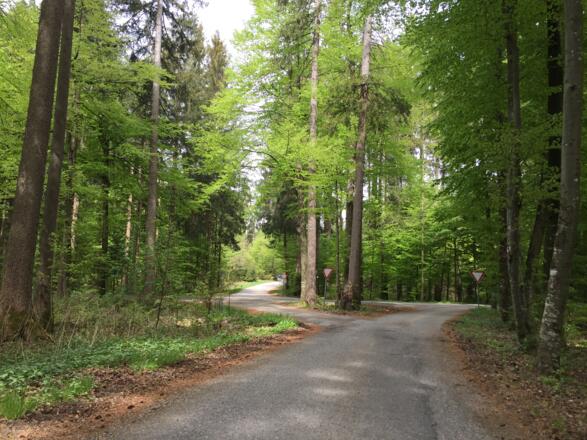 gerade weiter nach Geilertshausen