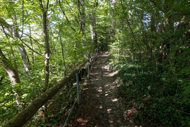 Vor Stegen verläuft der Weg obern am Steilufer entlang
