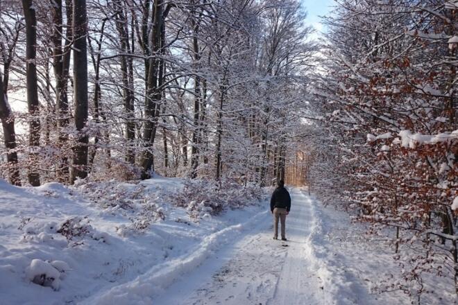Winterwandern auf der Herreninsel