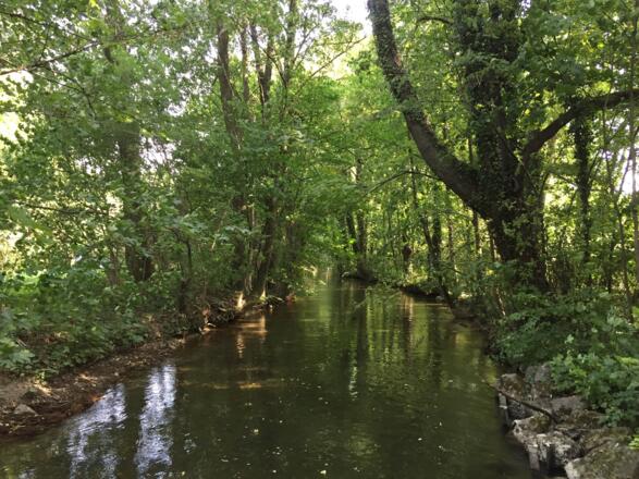 Englischer Garten beim Aumüller