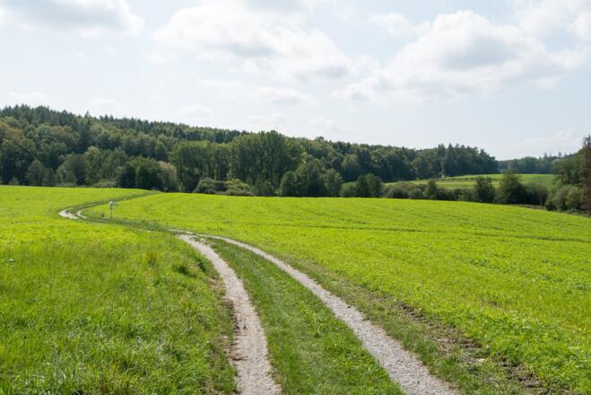 freies Gelände hinter Inning
