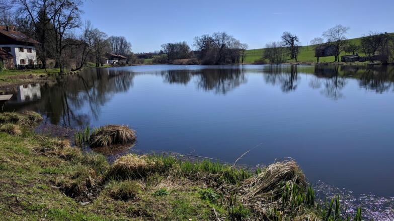 Weiher Degerndorf