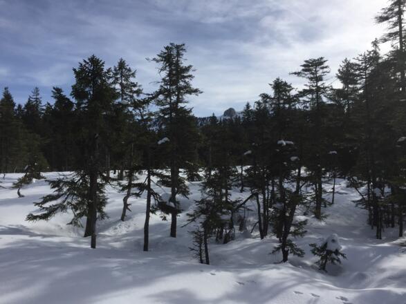 Hochfläche vor der Neulandhütte