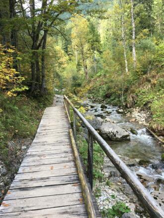 Weg westlich des Schwarzenbach