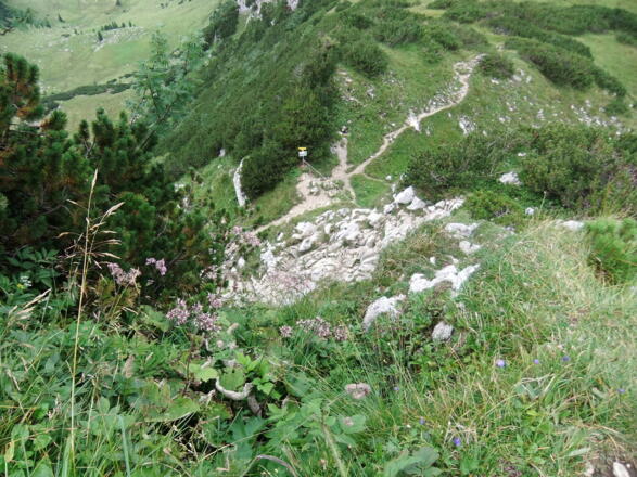 Blick von der ersten seilversicherten Steilstufe des Gipfelanstiegs zur Benediktenwand herab zum Rotöhrsattel