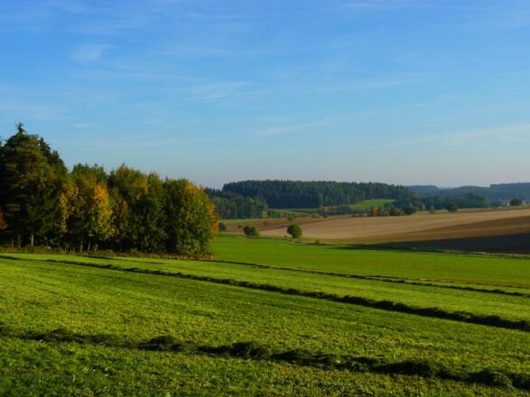 Ausblick bei Geiersberg