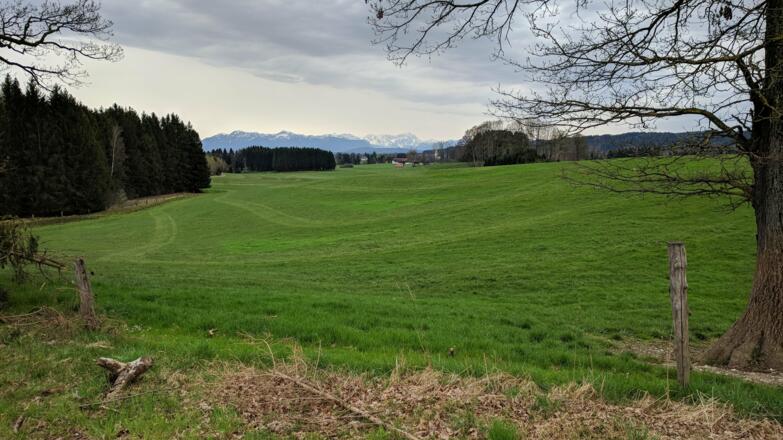 Weg bei Oberherrnhausen