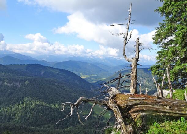 Blick in die Jachenau und ins Karwendelgebirge