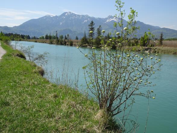 Loisach mit Herzogstand und Heimgarten