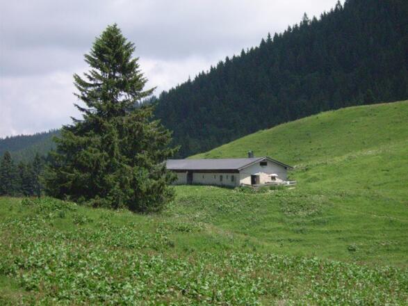 Ein Blick auf die Seekar-Almen. 