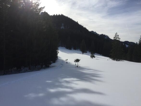zwischen den beiden Bäumchen geht es links den Längenberg hinab