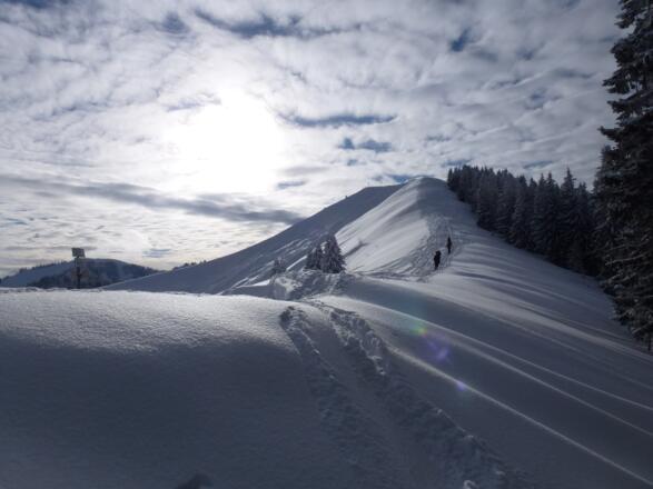 Sattel unterhalb des Seekarkreuz