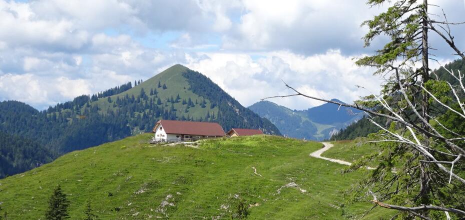 Staffelalm, dahinter Jochberg