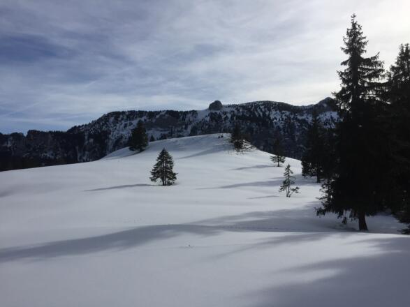 &quot;Gipfel&quot; P 1244