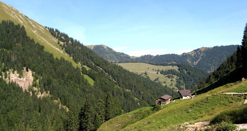 Die wunderbar gelegene Eiskönigalm, 1240 m!