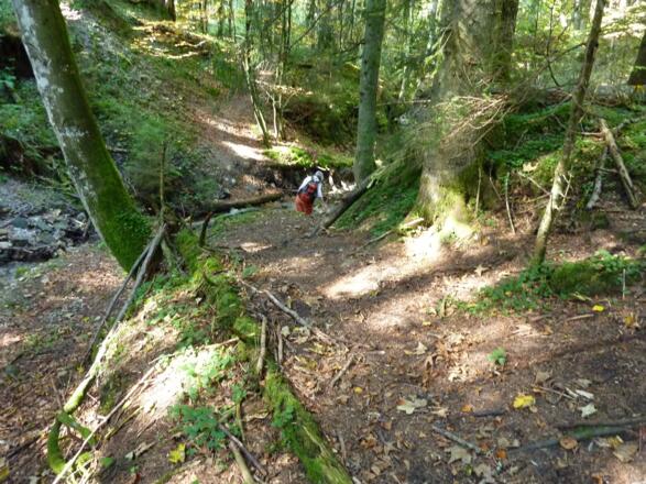 Graben vor der Lexenalm