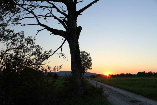 Sonnenuntergang am Moosrundweg