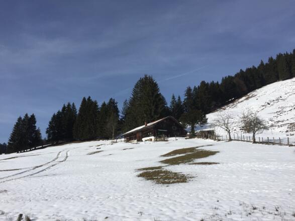Brunnlocher Alm