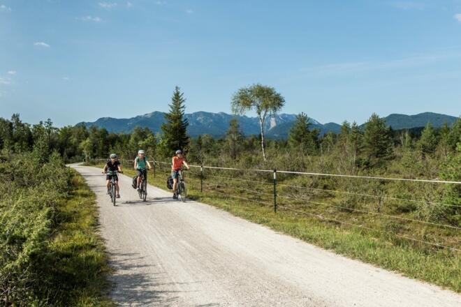 Isarradweg mit Landschaft