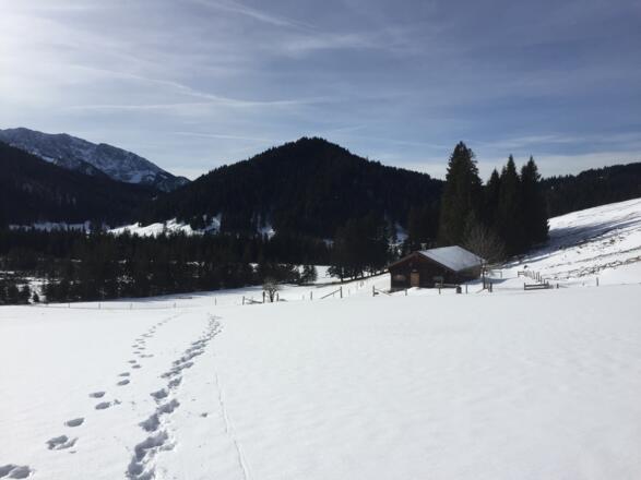 kurz vor der Lexen-Alm. Blick auf die Benediktenwand