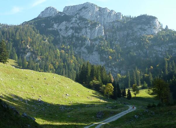 Kurz vor der Tiefental Alm, hinten der Hennenkopf