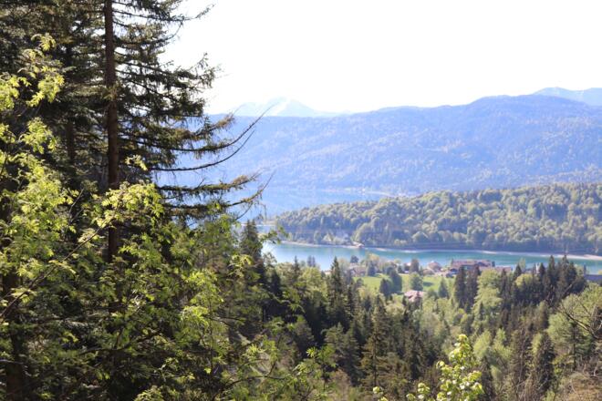 Blick von der Dainingsbach-Schlucht auf den Walchensee
