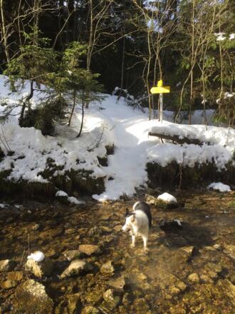 Überquerung des Murnerbaches