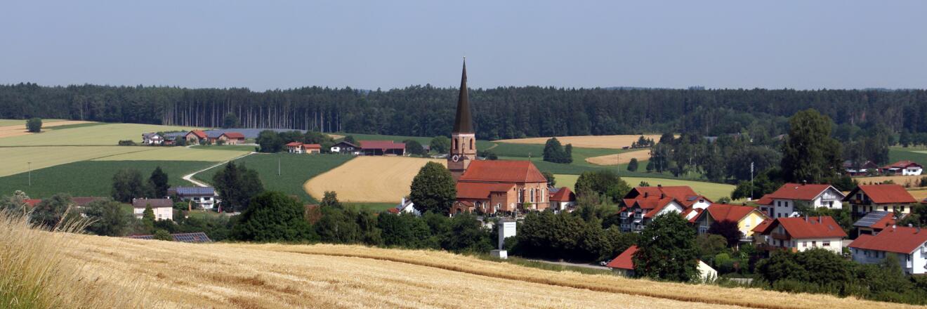 Blick auf Hirschhorn
