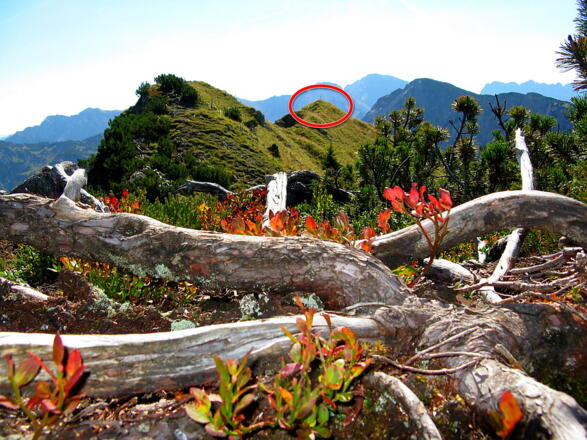 Der Blick öffnet sich zu unserem Ziel, Eiskönigspitze, 1871 m!