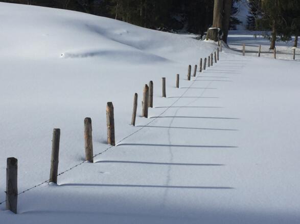 Licht &amp; Schatten