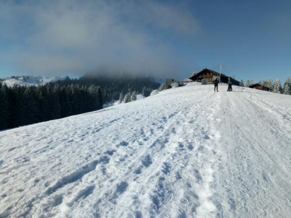 Im Aufstieg an der Aueralm