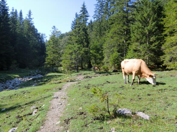 Immer in Gesellschaft