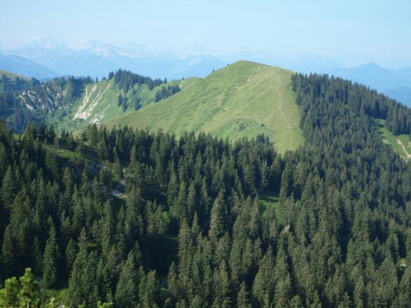 Seekarkreuz vom Spitzkamp-Gipfel