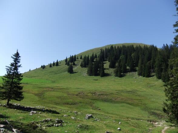 Blick vom &quot;Rotmoos&quot; auf die zahme Seite des Jochbergs