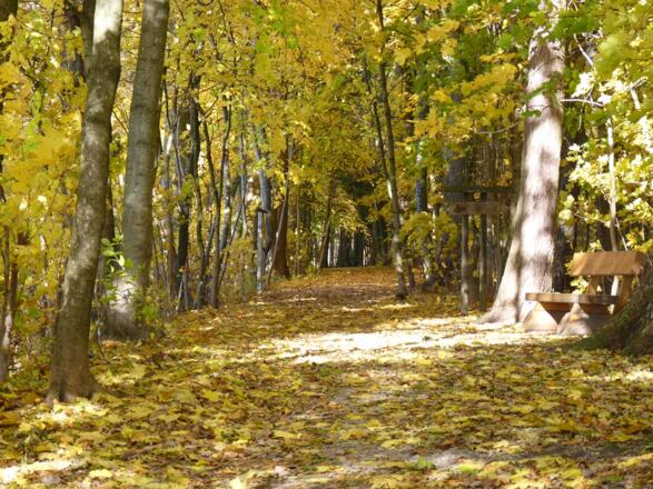 Am Bürgerwald bei Eggenfelden