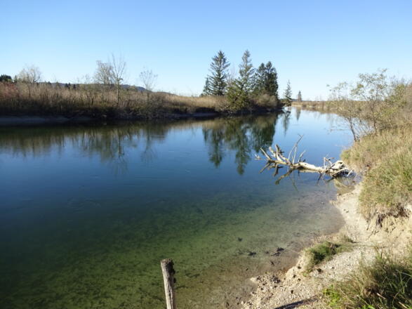 Loisach zwischen Benediktbeuern und Kochel a. See