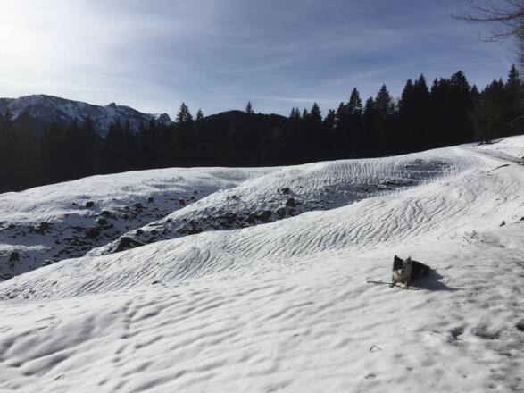 Erster freier Blick in Richtung Achselköpfe