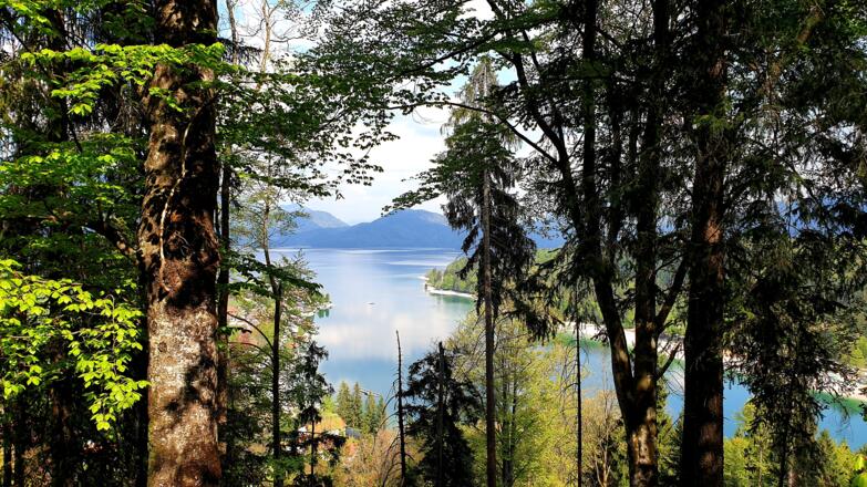Aussicht vom Gamsreibnweg über den Walchensee