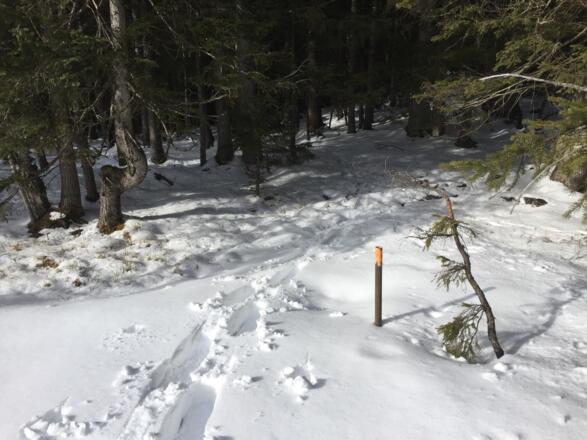 der gestrichelte Weg in der Karte ist mit lackierten Eisenstangen markiert