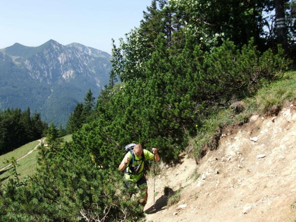 Beim Gipfelaufstieg - im Hintergrund der Herzogstand und der Heimgarten