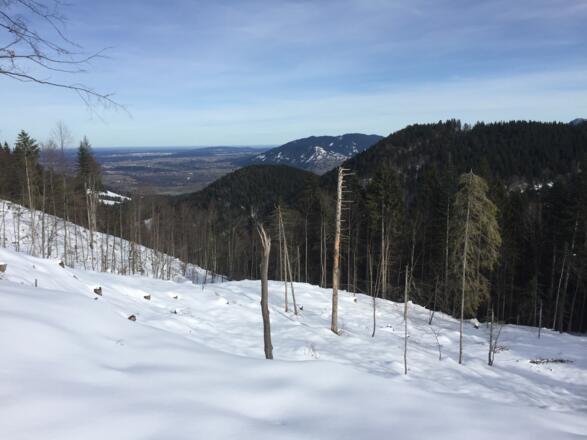 Blick vom Mosenbergkopf ins Isartal