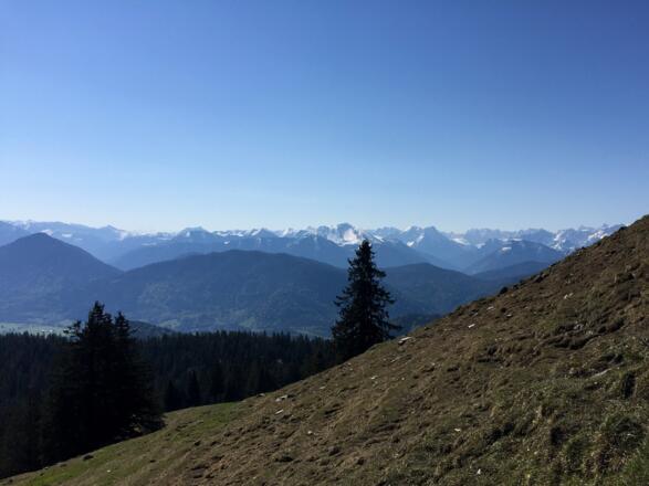 Östlich unterhalb des Jochbergs: Blick ins Karwendel mit Scharfreiter