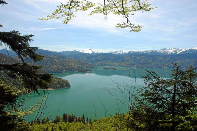 Blick vom Reitweg auf den Walchensee
