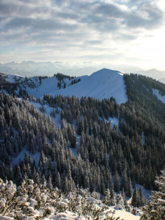 Spitzkamp Ausblick Seekar und Karwendel