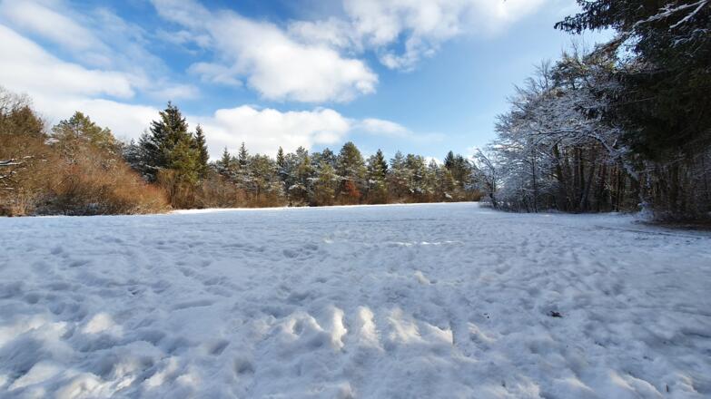 Naturschutzgebiet Isar