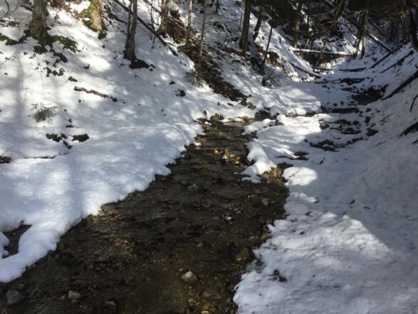 Bachquerung kurz vor der Lexen-Alm