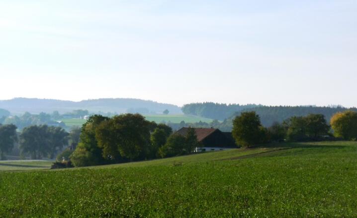 Ausblick bei Oberhöft