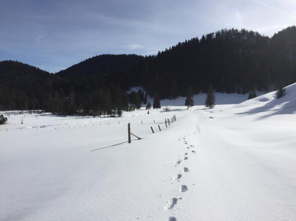 freies Gelände vor der Melchersteffl-Alm