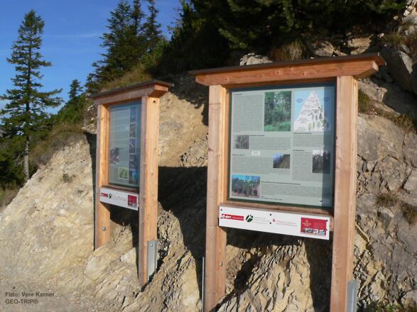 Naturlehrpfad am Herzogstand